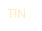 TIN